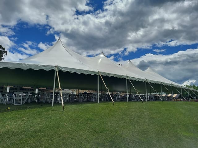 Party-rentals photo 2